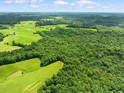 View/Area - 550 Bowman Ridge Rd, Morehead, KY 40351 photo 8 of 9
