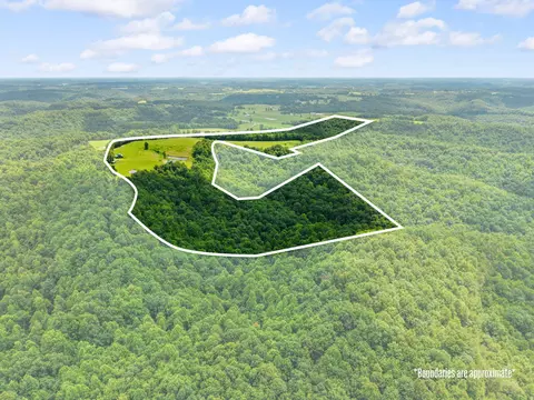 View/Area - 550 Bowman Ridge Rd, Morehead, KY 40351 photo 9 of 9