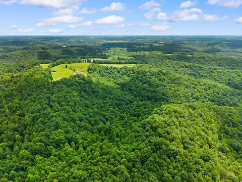 View/Area - 550 Bowman Ridge Rd, Morehead, KY 40351 photo 3 of 9