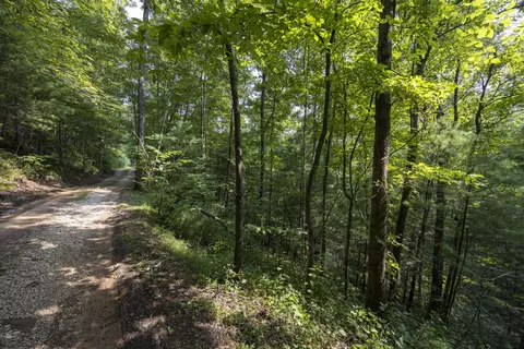 lot2 Cave Hollow Rd, Campton, KY 41301