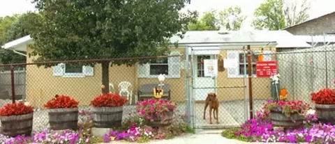 8620 Old Bardstown Rd, Louisville, KY 40291