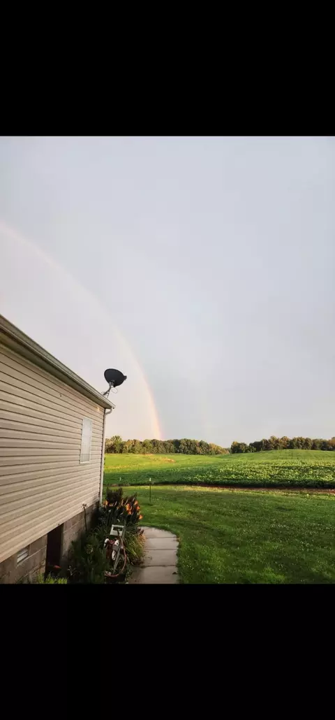 Other - 2413 Lowes Rd, Cunningham, KY 42035 photo 9 of 10