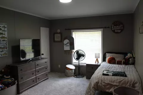 Other - 2413 Lowes Rd, Cunningham, KY 42035 photo 4 of 10