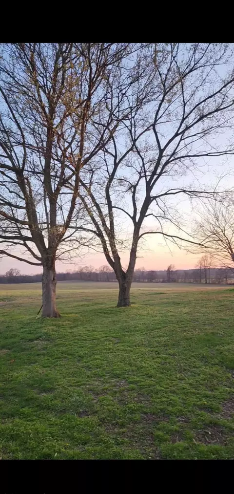 Exterior - 2413 Lowes Rd, Cunningham, KY 42035 photo 8 of 8