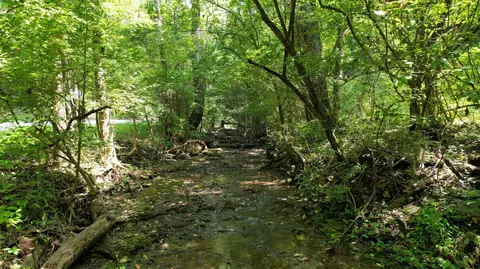 1590 Shryocks Ferry Rd, Versailles, KY 40383