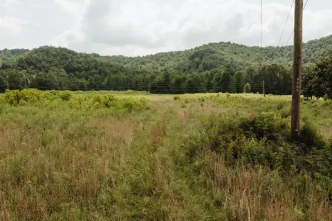 2974 E Fork Rd, Means, KY 40346 photo 3