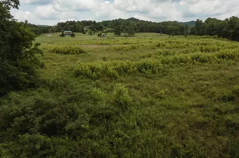 2974 E Fork Rd, Means, KY 40346 photo 12