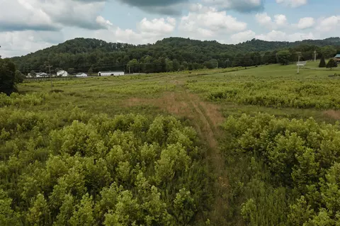 2974 E Fork Rd, Means, KY 40346 photo 14