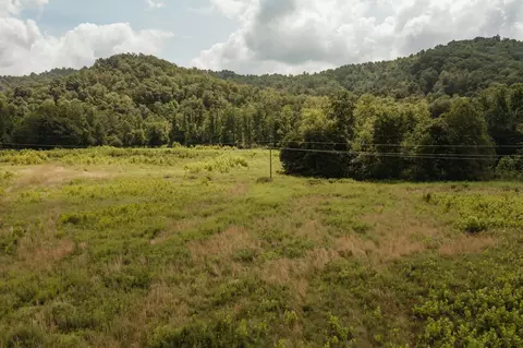 2974 E Fork Rd, Means, KY 40346 photo 6
