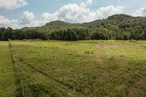 2974 E Fork Rd, Means, KY 40346 photo 5