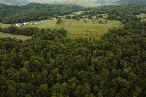2974 E Fork Rd, Means, KY 40346 photo 17
