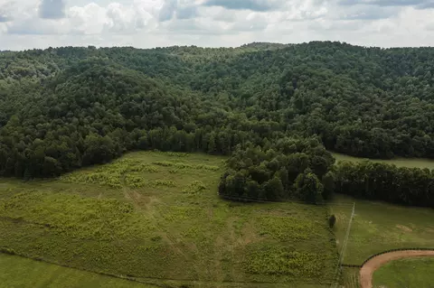 2974 E Fork Rd, Means, KY 40346 photo 10