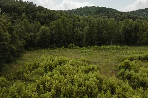 2974 E Fork Rd, Means, KY 40346 photo 13