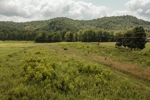 2974 E Fork Rd, Means, KY 40346 photo 4