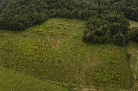 2974 E Fork Rd, Means, KY 40346 photo 8