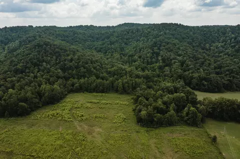 2974 E Fork Rd, Means, KY 40346 photo 18