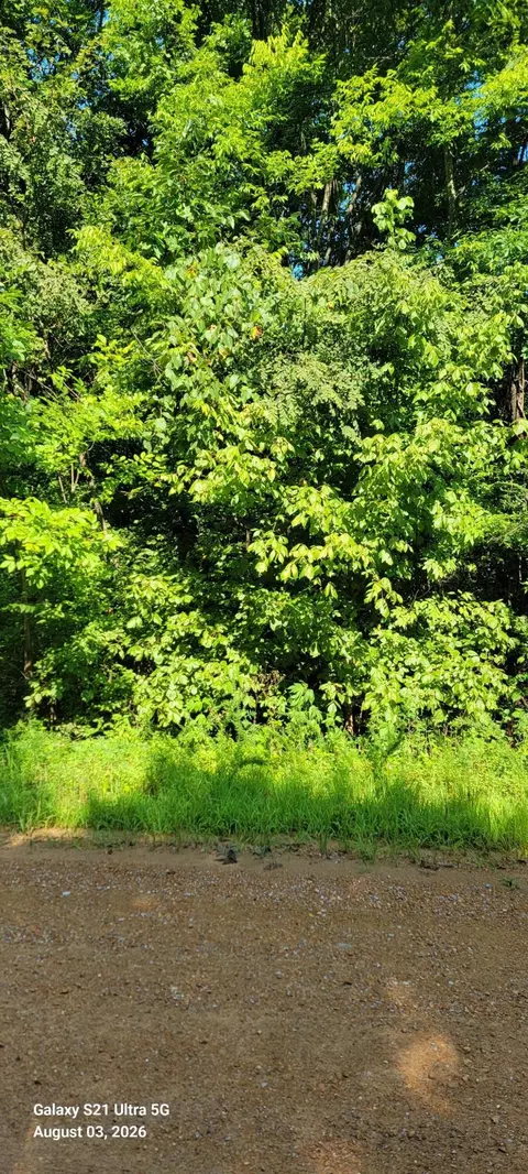 4625 Old Woodville Rd, Kevil, KY 42053