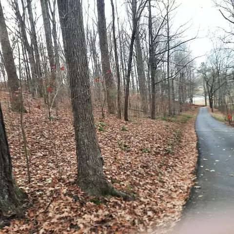 lot8 Harbor Dr, Eddyville, KY 42038