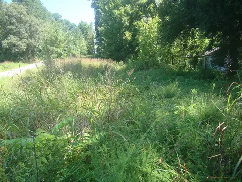 3994 4000 Old Dover Rd, Cadiz, KY 42211