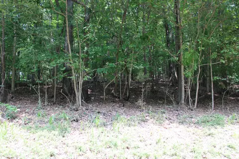 lot122 Palisades Dr, Eddyville, KY 42038