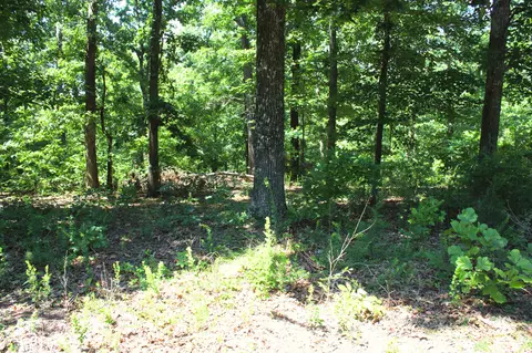 77 Dock Dr, Murray, KY 42071 photo 6