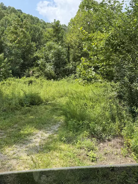 8888 Hales Fork Rd, Dewitt, KY 40930 photo 6