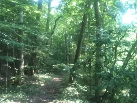 8888 Hales Fork Rd, Dewitt, KY 40930 photo 6