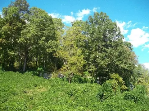 8888 Hales Fork Rd, Dewitt, KY 40930 photo 19