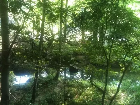 8888 Hales Fork Rd, Dewitt, KY 40930 photo 5