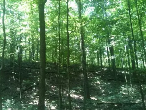 8888 Hales Fork Rd, Dewitt, KY 40930 photo 8