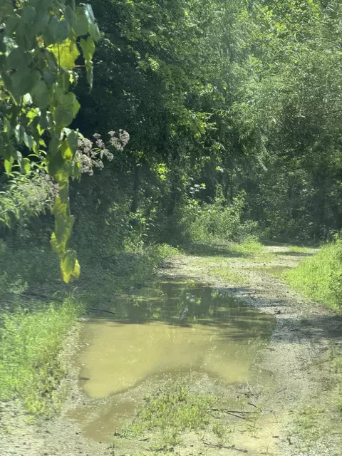 8888 Hales Fork Rd, Dewitt, KY 40930 photo 4