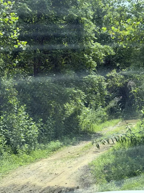 8888 Hales Fork Rd, Dewitt, KY 40930 photo 5