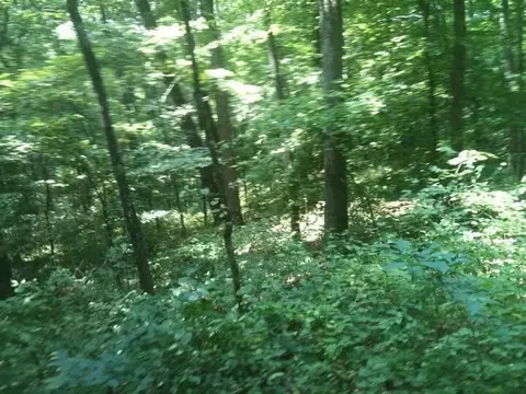 8888 Hales Fork Rd, Dewitt, KY 40930 photo 10