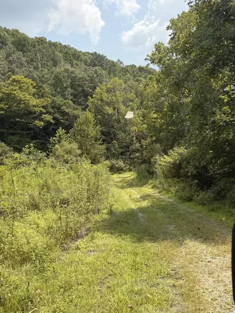 8888 Hales Fork Rd, Dewitt, KY 40930 photo 7