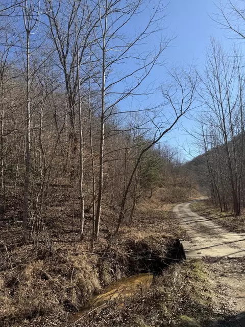 8888 Hales Fork Rd, Dewitt, KY 40930 photo 21
