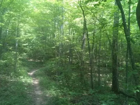 8888 Hales Fork Rd, Dewitt, KY 40930 photo 12