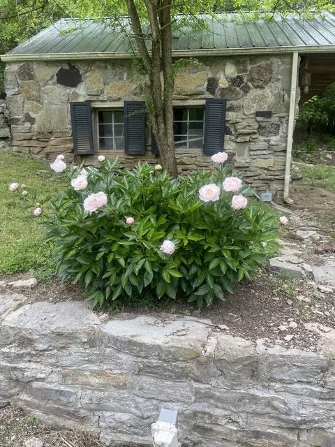Exterior - 4933 Bloomfield Rd, Springfield, KY 40069 photo 4 of 5