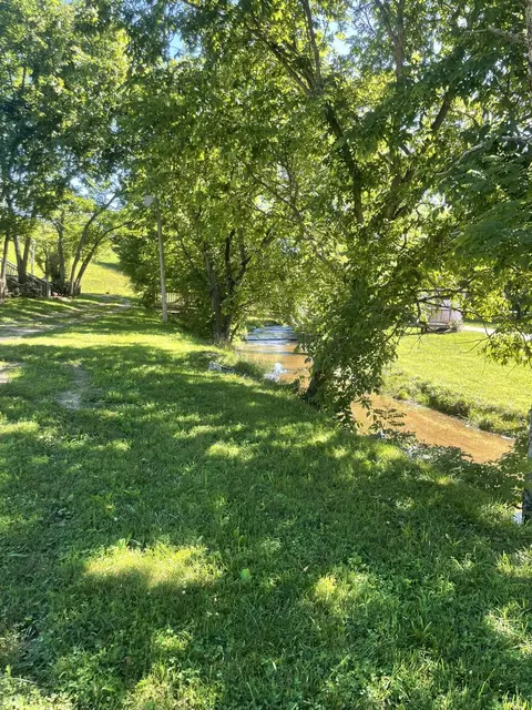 Other - 4933 Bloomfield Rd, Springfield, KY 40069 photo 15 of 22
