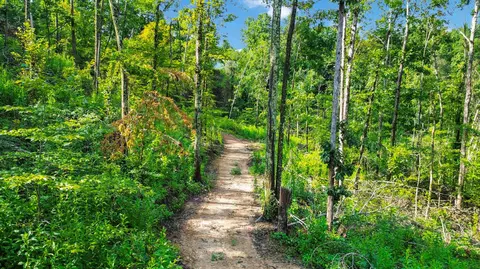 275 Dixie Bend Rd, Burnside, KY 42519 photo 9