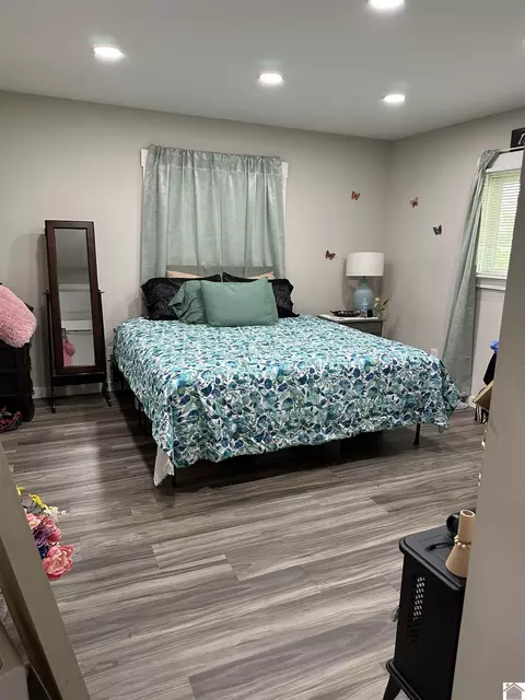 Other - 307 Wright St, Mayfield, KY 42066 photo 4 of 4