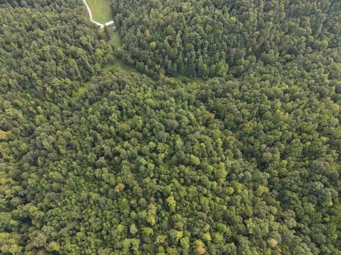707 707 Shotgun Hollow Rd, Frenchburg, KY 40322
