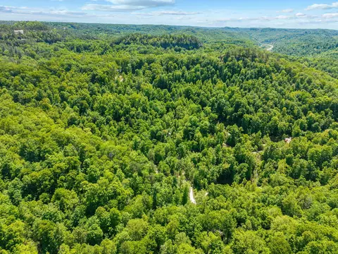 View/Area - 99 Aider Ct, Stanton, KY 40380 photo 3 of 9