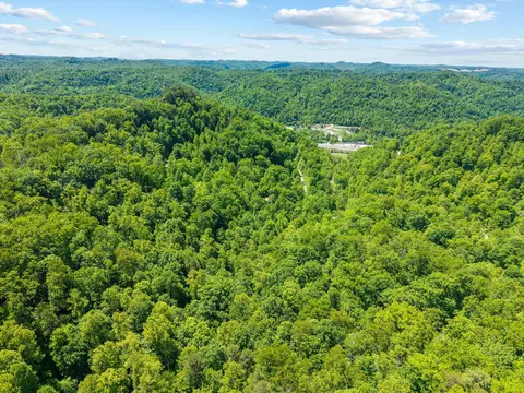 View/Area - 99 Aider Ct, Stanton, KY 40380 photo 4 of 9