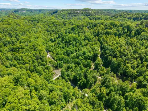 View/Area - 99 Aider Ct, Stanton, KY 40380 photo 2 of 9