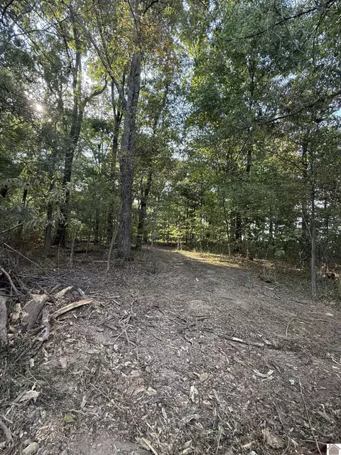Other - 1473 Watson Rd, Murray, KY 42071 photo 9 of 9