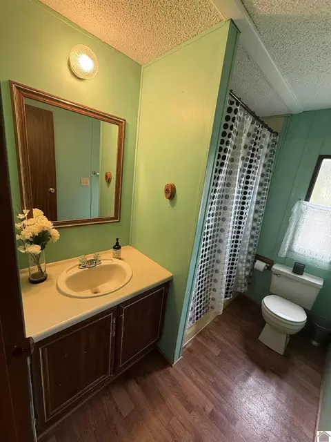 Bath - 1473 Watson Rd, Murray, KY 42071 photo 4 of 5