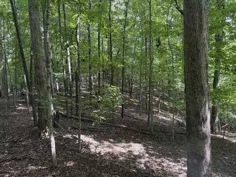 0 Perry Springs Rd, Eddyville, KY 42038