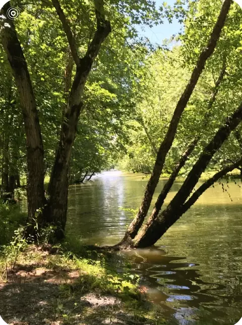 lot S 88e 89e Canton Heights 2, Cadiz, KY 42211