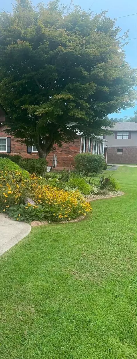 Exterior - 748 Lakeside Dr, Jackson, KY 41339 photo 15 of 16