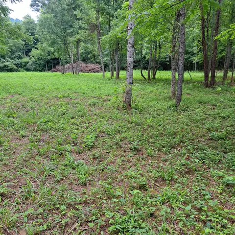 99 Jackson Rd, Manchester, KY 40962